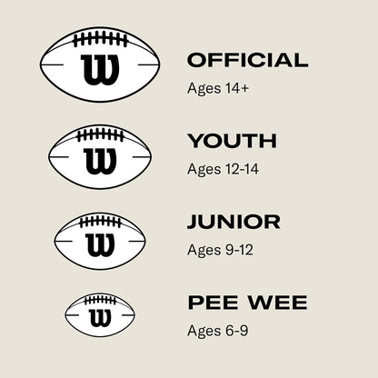 WILSON NFL Composite Football